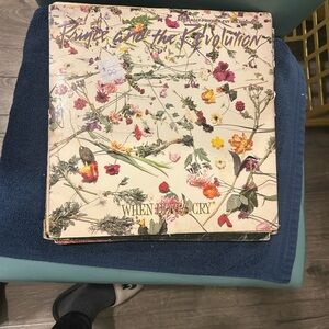 Vinyl Record - Prince and the Revolution